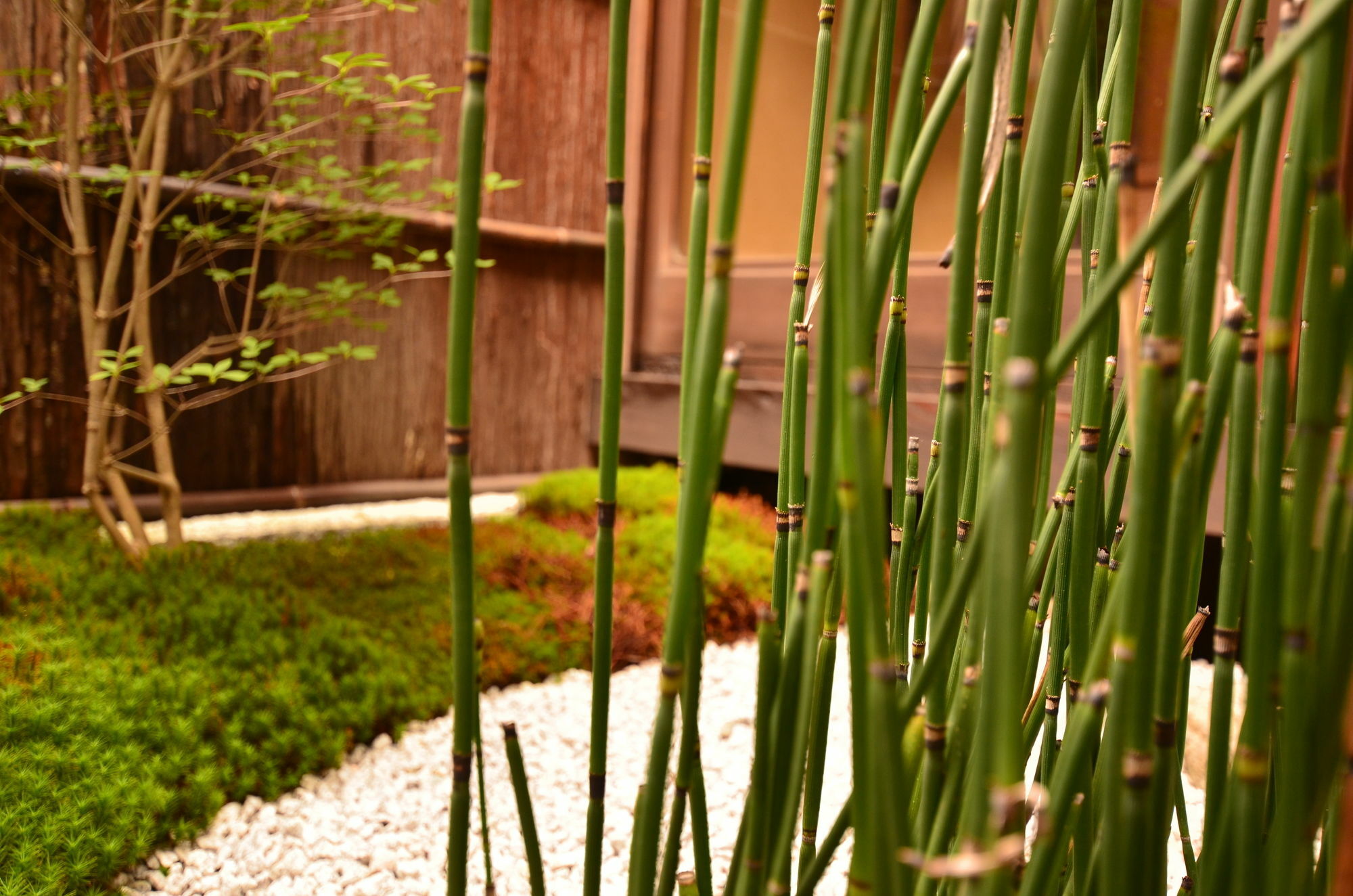Hotel Grateful Kioto Zewnętrze zdjęcie